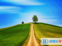 张家口2021年中考的规则