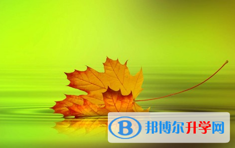 承德2021年中考没考上可以复读吗