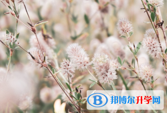 承德2021年中考难度