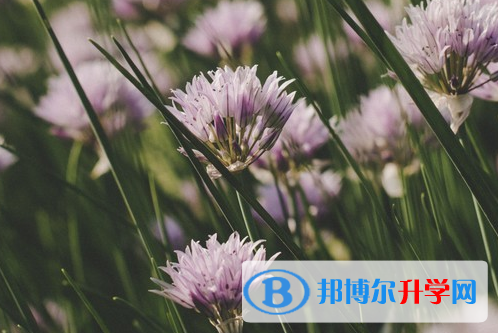承德2021年中考生落榜后可不可以选择复读