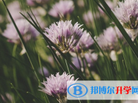 承德2021年中考生落榜后可不可以选择复读