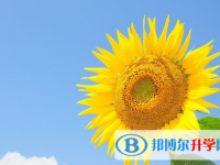 承德2021年中考时间表