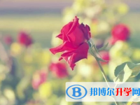 承德2021年中考试卷难吗