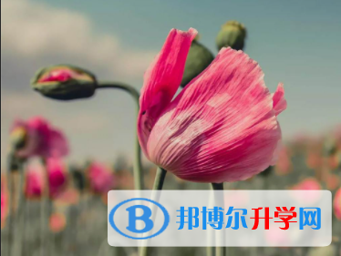 张家口2021年中考录取通知书