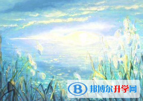 承德2021年中考网络平台