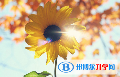 张家口2021年中考注意事项和技巧