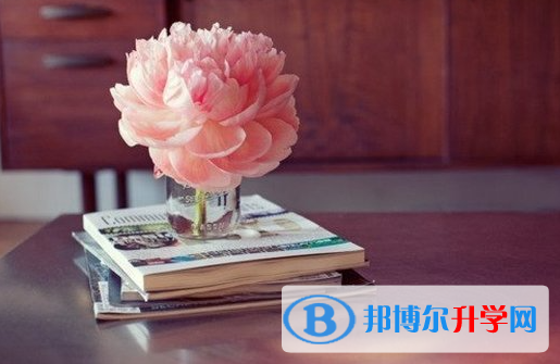 张家口2021年中考自主招生情况