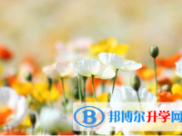 承德2021年中考怎样调剂