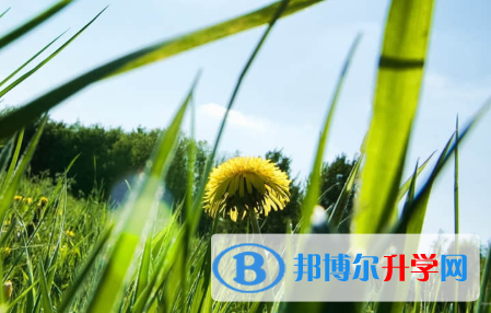 承德2021年中考招生考试