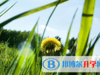 承德2021年中考招生考试
