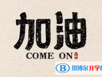 承德2021年中考招生网络应用服务平台