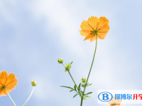 张家口2021年孩子因病错过中考怎么办