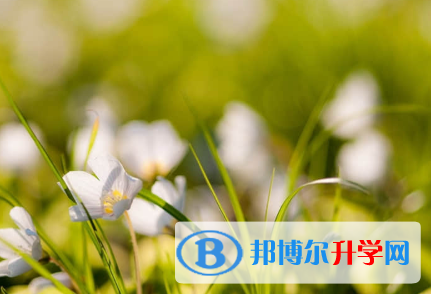 承德2021年中考的规则