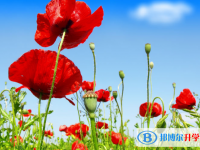 张家口2021年中考报名网站是什么
