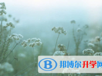 承德2021年中考技巧和注意事项