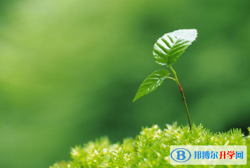 张家口2021年中考报考志愿表