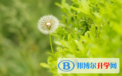 张家口2021年中考填报志愿后还可以改吗