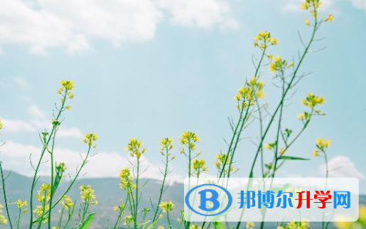 承德2021年中考要求