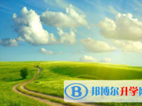 成都2021年今年的中考成绩