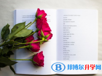 成都2021年参加中考的有多少人