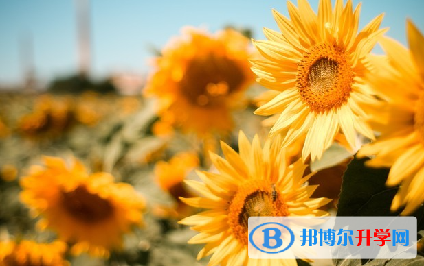 成都2021年怎样对待中考成绩