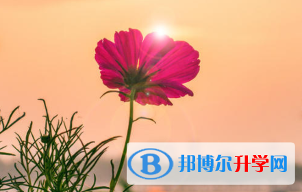 成都2021年中考查询成绩网址