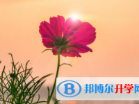 成都2021年中考查询成绩网址