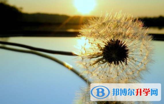 成都2021年中考成绩好可以直升的中专
