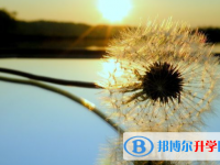 成都2021年中考成绩好可以直升的中专