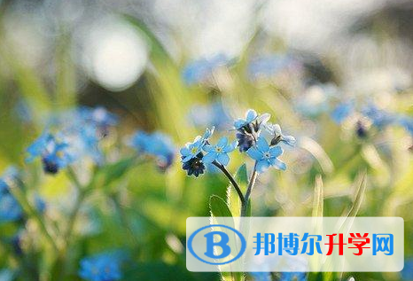 成都2021年中考报考攻略