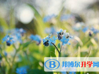 成都2021年中考报考攻略