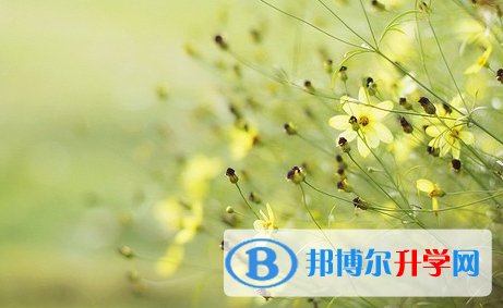 成都2021年中考报考指南