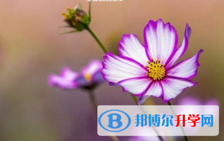 成都2021年中考报名需要带什么