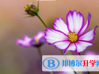 成都2021年中考报名需要带什么