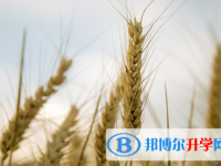 成都2021年中考查询系统的密码记不到了怎么办