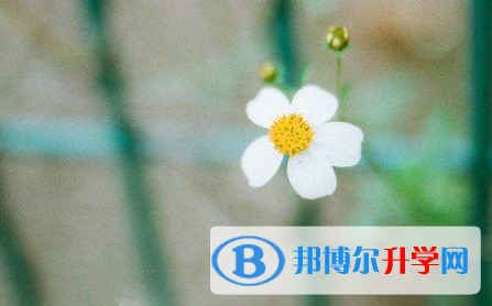 成都2021年中考服务平台