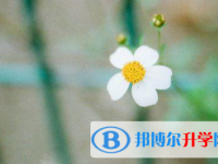 成都2021年中考服务平台