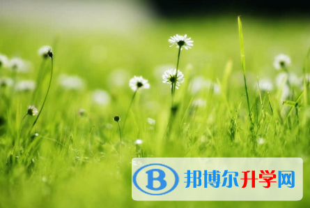 成都2021年中考考点