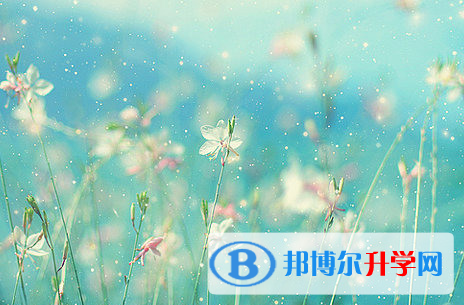 成都2021年中考考点有哪几个