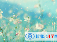 成都2021年中考考点有哪几个