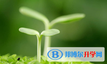 成都2021年中考考生人数