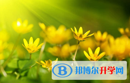 成都2021年中考考试成绩