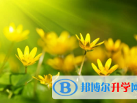 成都2021年中考考试成绩