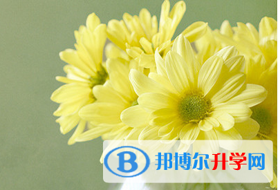成都2021年中考考试技巧
