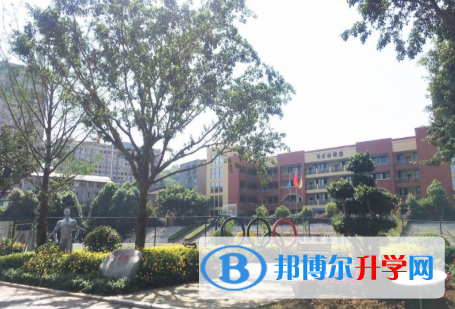 成都2021年中考可以报哪些学校