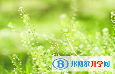 成都2021年中考录取结果