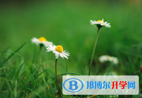 成都2021年中考录取名单