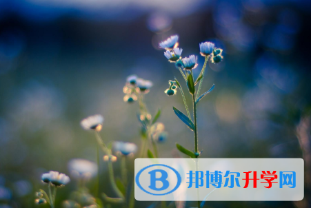 成都2021年中考录取时间