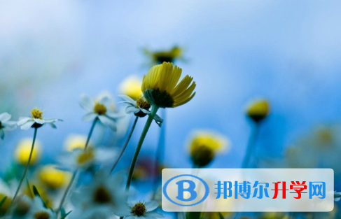 成都2021年中考没考上可以复读吗
