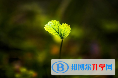  成都2021年中考难还是不难